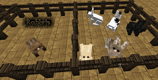 Rabbits