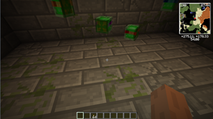 Turtle Slimes
