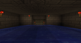 The Dungeon: