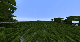 On top of the jungle