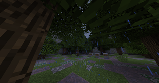 The Graveyard
