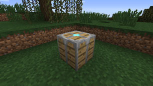 Block in world