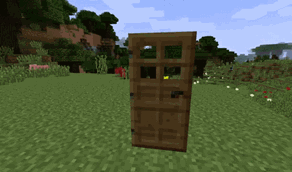 Door