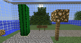 Parkour?