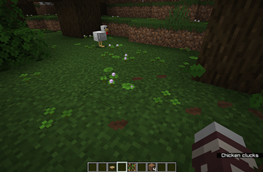 Leaf litter now includes clovers.