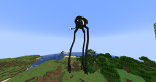 They can't kill a god(creative mode)