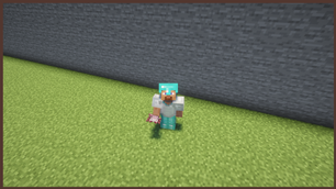 On Player