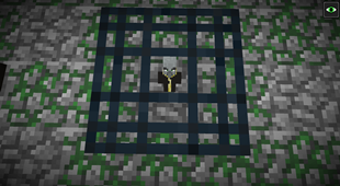 Evoker in 1.12.2