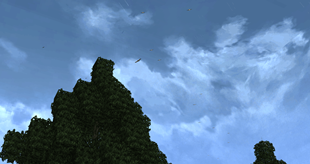 birds flying in the sky