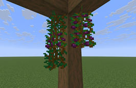 grapes.png
