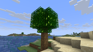 tree.png