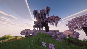 Cherry Tree 1