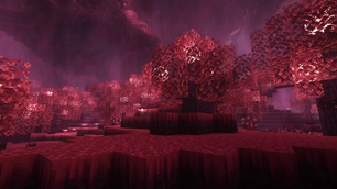 mute woods.jpg