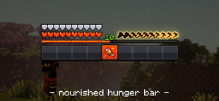nourished hunger bar