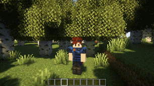 showcase.gif