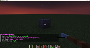 Block Inspection