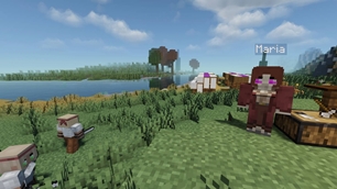 Villager