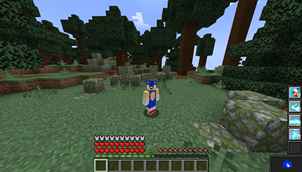 sonic.png
