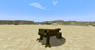 Desert
