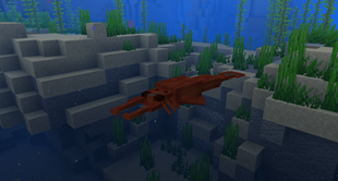 Jaekelopteruspicture.png