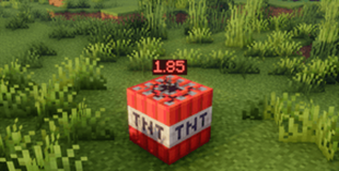 Exploitation-Timer-Mod-Screenshot-downscale.png