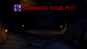 Summon pet warning