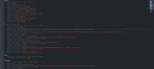 Config File