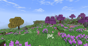 Field