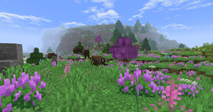 Field with mountains