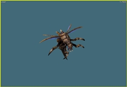 Wasp