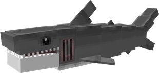Great White Shark