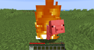Igniting with Flint and Steel