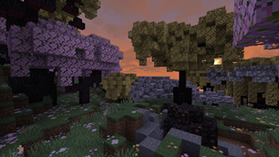 A rare meteorite surrounded by cherry blossoms.