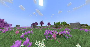 2026-02-02_15.41.00.png