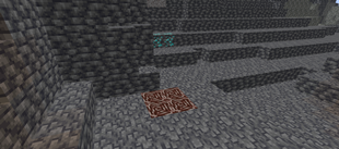 Ancient debris.png