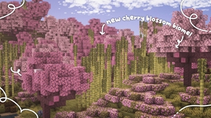 cherry biome.jpg