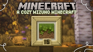 mizuno thumbnail.jpg