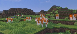 Screenshot 19