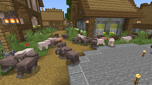 Screenshot 34