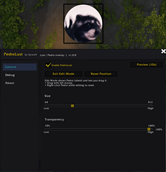 The Option panel v1