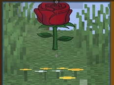 rose flower
