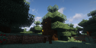 Woodle