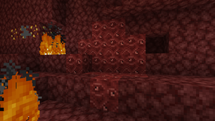 Flesh Block