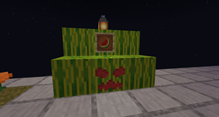 Carved Melon