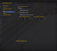 Misc Settings: Player Frame