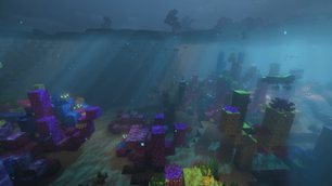 The Beautiful Reef