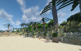 Dunes