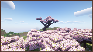 Bonsai tree