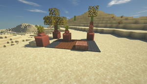 SS6