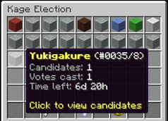 Election Overview